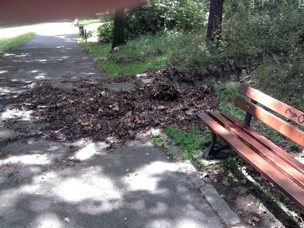 taki-park-to-wstyd-na-wzgorzu-kosciuszki-35444