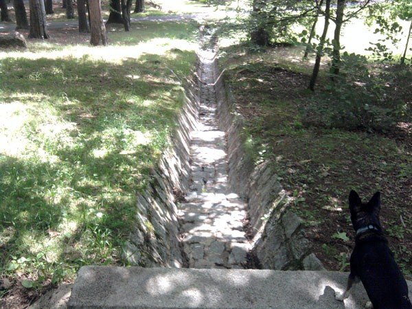 taki-park-to-wstyd-na-wzgorzu-kosciuszki-35444