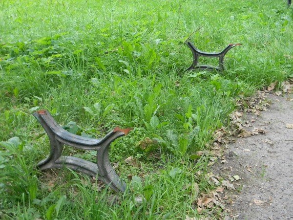 park-norweski-z-ostra-puapka-35457