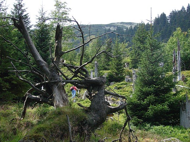 niezwyky-dzien-jagniatkowa-35513