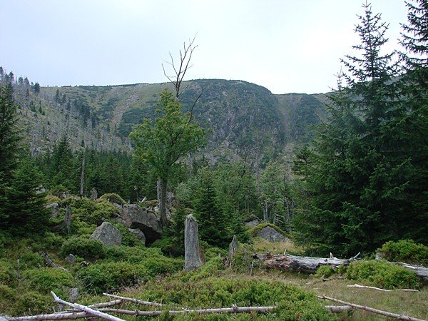 niezwyky-dzien-jagniatkowa-35513