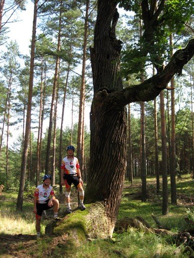 667-km-promocji-jeleniej-gory-na-rowerze-35523