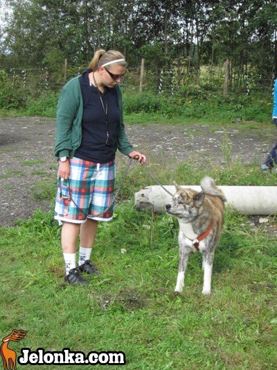 z-akita-ku-szczytom-karkonoszy-35606