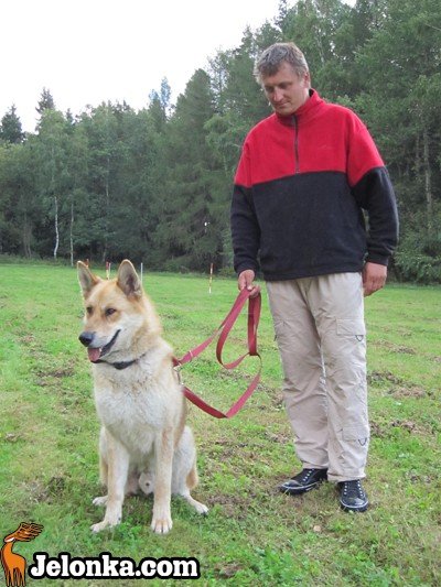 z-akita-ku-szczytom-karkonoszy-35606