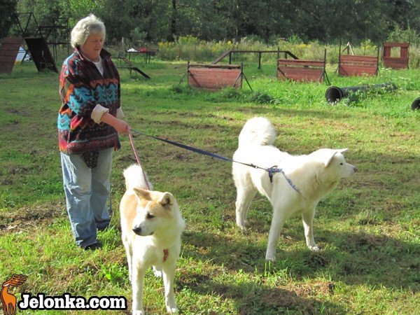 z-akita-ku-szczytom-karkonoszy-35606