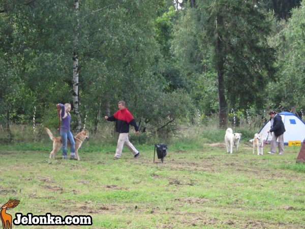 z-akita-ku-szczytom-karkonoszy-35606
