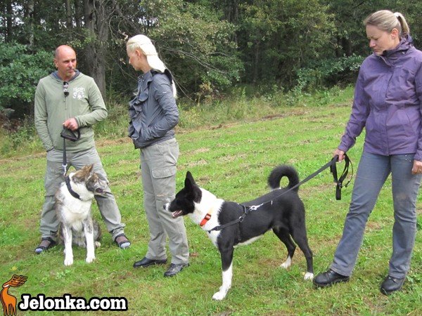 z-akita-ku-szczytom-karkonoszy-35606