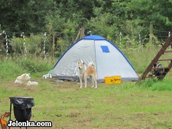 z-akita-ku-szczytom-karkonoszy-35606