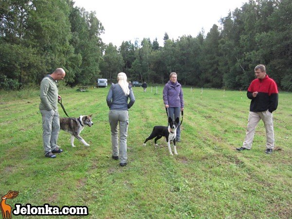 z-akita-ku-szczytom-karkonoszy-35606