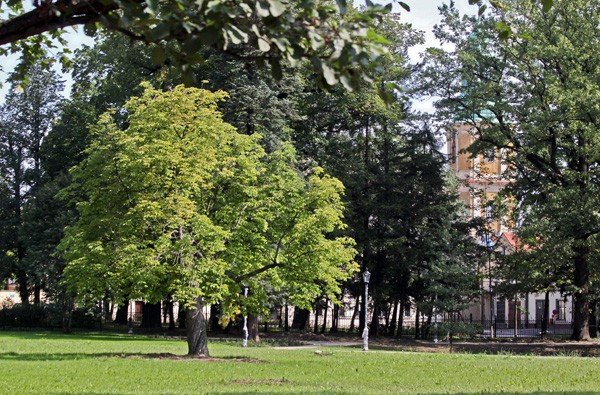 park-zdrojowy-jeszcze-nieotwarty-a-juz-okradziony-35673