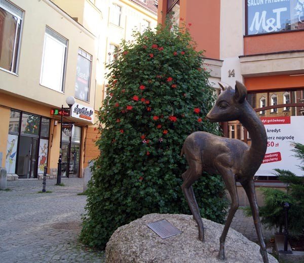pogaszcz-jelonka-po-uchu-na-szczescie-35853