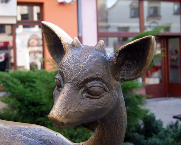 pogaszcz-jelonka-po-uchu-na-szczescie-35853