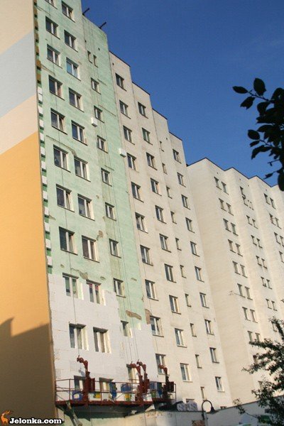 ptaki-zywcem-zamurowywane-przy-ul-kiepury-35866