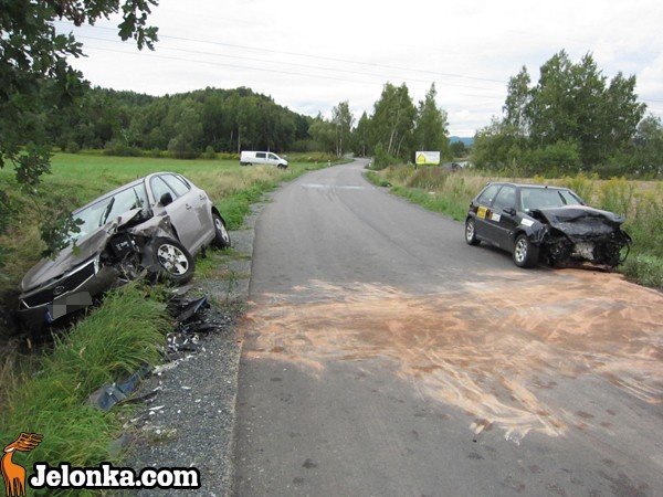 zajecha-droge-bo-go-wynioso-czoowka-przy-balatonie-35917