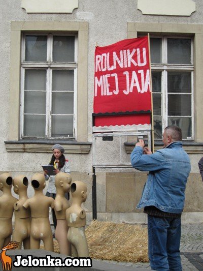 kamyk-z-jeleniej-gory-w-rynku-w-klimatach-misia-35945