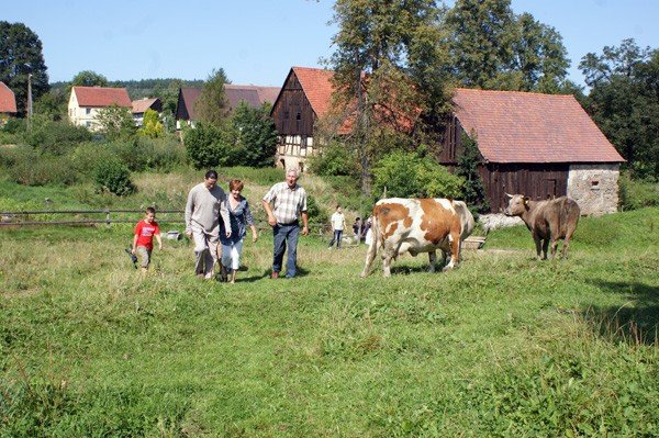 pokrzywnik-jedna-z-najpiekniejszych-wiosek-dolnego-slaska-36012