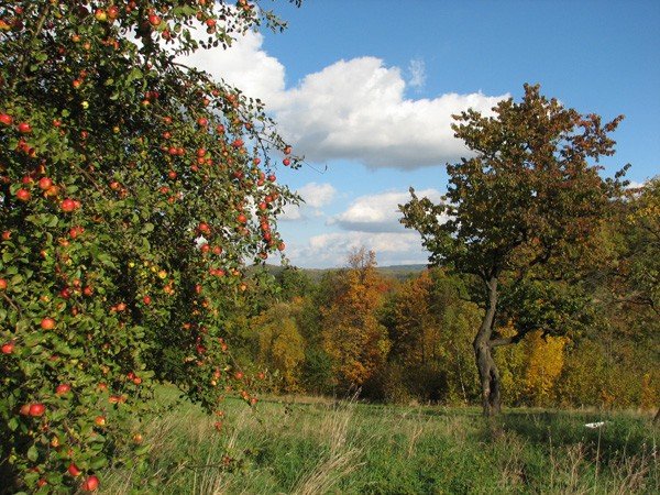 pokrzywnik-jedna-z-najpiekniejszych-wiosek-dolnego-slaska-36012
