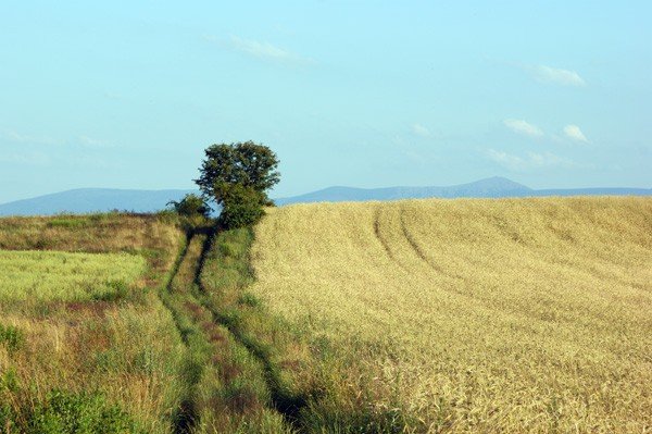 pokrzywnik-jedna-z-najpiekniejszych-wiosek-dolnego-slaska-36012