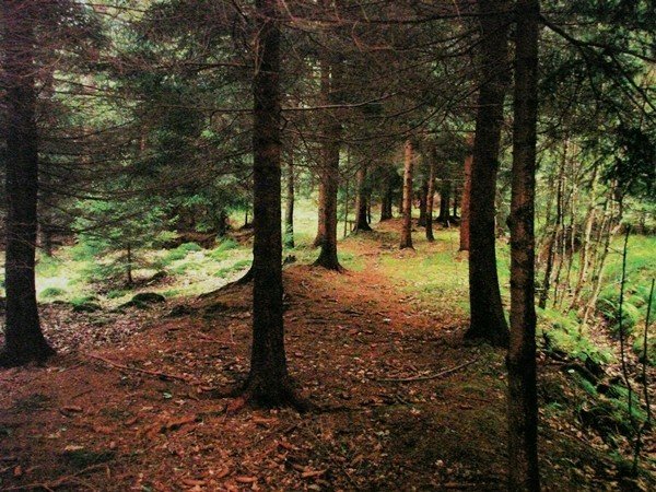 cyklisci-w-wolimierzu-rowerami-po-byym-torowisku-36129
