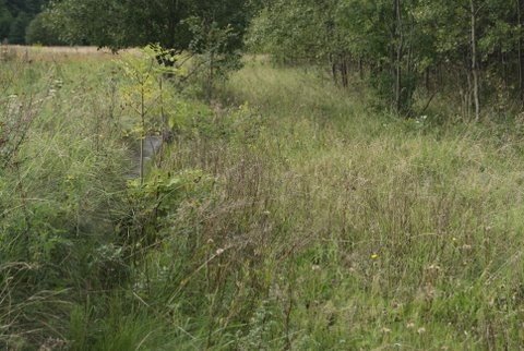 cyklisci-w-wolimierzu-rowerami-po-byym-torowisku-36129