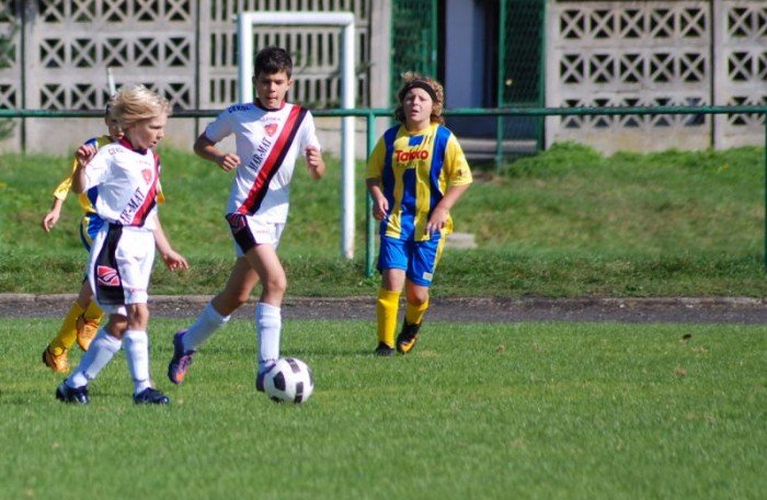 wysoka-wygrana-modzikow-chojnika-36290