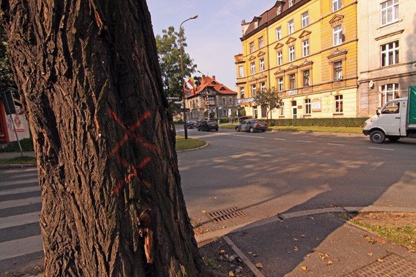 rewitalizacja-alei-wojska-polskiego-bardziej-realna-36417