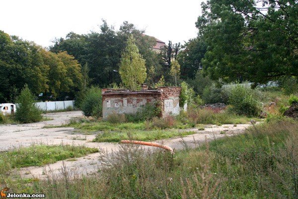 wykonawca-galerii-focus-mall-znik-36457