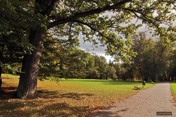 park-na-wzgorzu-kosciuszki-wypieknieje-36561