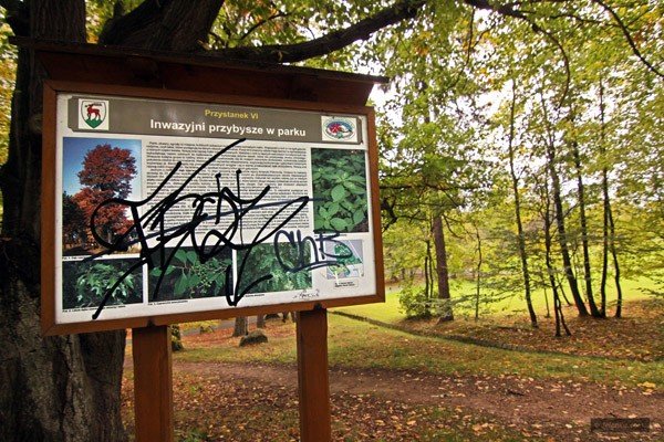 park-na-wzgorzu-kosciuszki-wypieknieje-36561