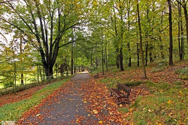 park-na-wzgorzu-kosciuszki-wypieknieje-36561