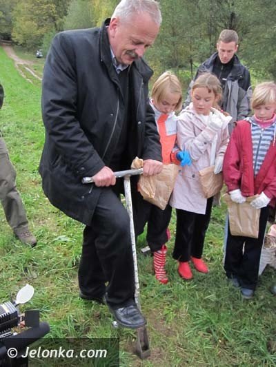 aka-krokusow-pena-wiosna-bedzie-pieknie-36574