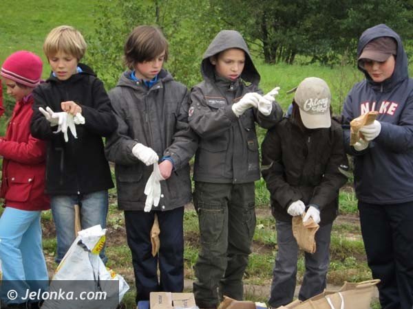 aka-krokusow-pena-wiosna-bedzie-pieknie-36574