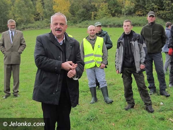 aka-krokusow-pena-wiosna-bedzie-pieknie-36574