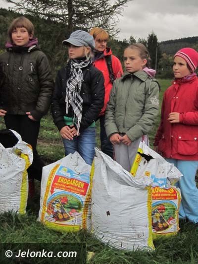 aka-krokusow-pena-wiosna-bedzie-pieknie-36574