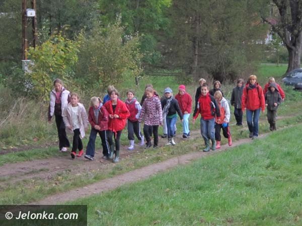 aka-krokusow-pena-wiosna-bedzie-pieknie-36574