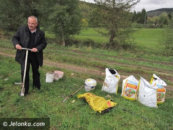 aka-krokusow-pena-wiosna-bedzie-pieknie-36574