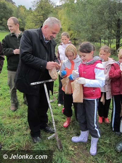 aka-krokusow-pena-wiosna-bedzie-pieknie-36574