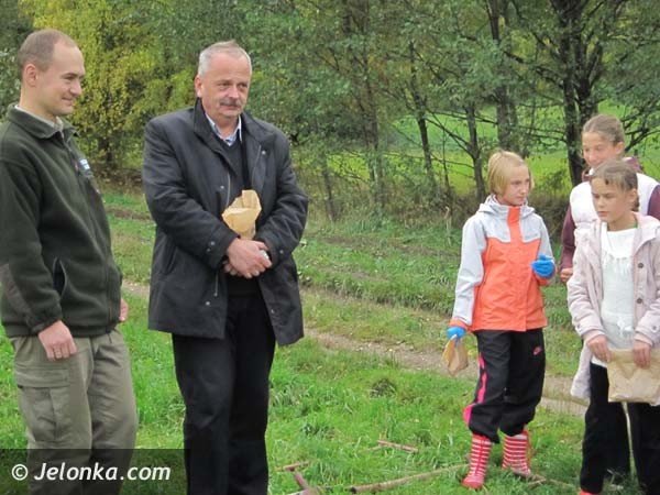 aka-krokusow-pena-wiosna-bedzie-pieknie-36574