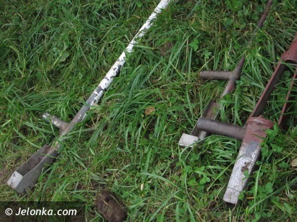 aka-krokusow-pena-wiosna-bedzie-pieknie-36574
