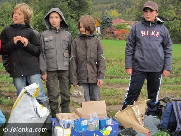 aka-krokusow-pena-wiosna-bedzie-pieknie-36574