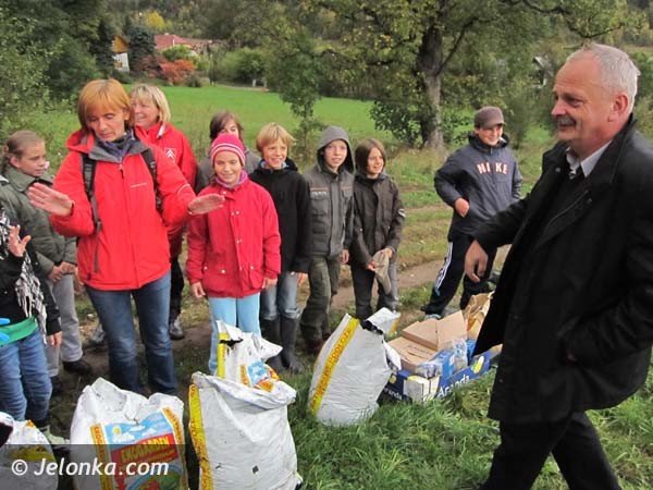 aka-krokusow-pena-wiosna-bedzie-pieknie-36574
