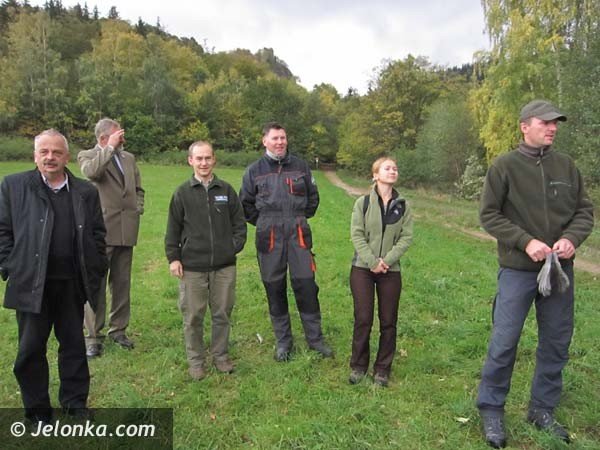 aka-krokusow-pena-wiosna-bedzie-pieknie-36574