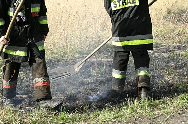 Do płonących łąk i nieużytków strażacy wyjeżdżali już ponad sto razy. Z powodu braku opadów może się zwiększyć liczba pożarów w lasach.
