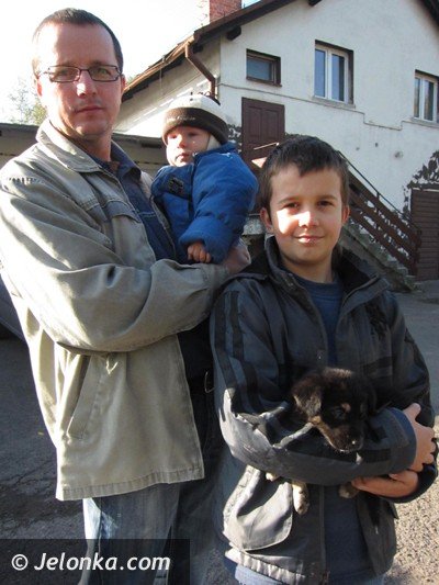 do-serca-przytul-psa-wez-na-kolana-kota-36698