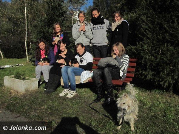 do-serca-przytul-psa-wez-na-kolana-kota-36698