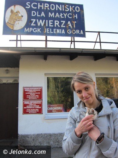 do-serca-przytul-psa-wez-na-kolana-kota-36698
