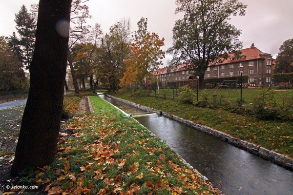 by-brud-i-smrod-jest-wartki-nurt-mynowki-36749