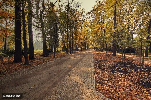 park-zdrojowy-wciaz-placem-budowy-wiosna-ma-byc-pieknie-36793
