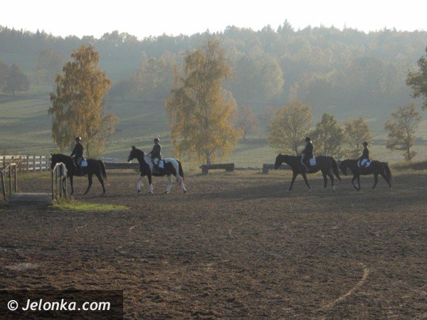 ruszyy-z-kopyta-w-pogoni-za-lisem-w-gostarze-36873