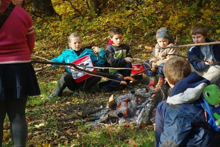 wspomogli-lesna-zwierzyne-bedzie-atwiej-przetrwac-zime-36875